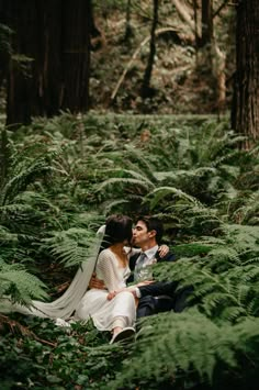 a bride and groom sitting in the middle of a lush green forest with tall ferns