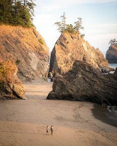 two people are walking on the beach near some rocks and trees in the distance,