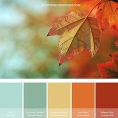 the color scheme for autumn is orange, yellow and green with some red leaves on it