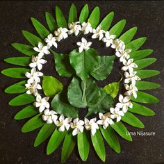 white flowers and green leaves arranged in a circle