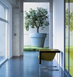 an empty room with a chair and potted plant