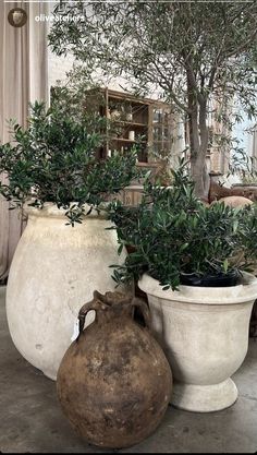 two large white vases with plants in them