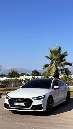 a white car parked in front of a palm tree on top of a parking lot