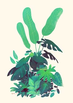 a plant with lots of green leaves on it