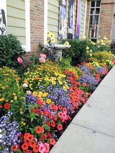 colorful flowers line the side of a building