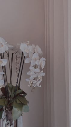 white flowers are in a clear vase on a shelf next to a window sill