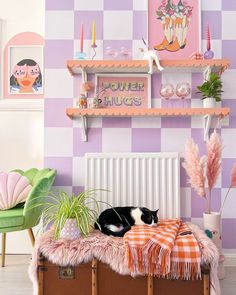 a black and white cat laying on top of a wooden trunk in front of a purple checkered wall