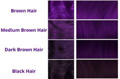 How to Dye Dark Hair Purple Without Using Bleach Darkest Purple Hair Color, Purple Dye On Dark Hair, Colors To Dye Dark Brown Hair Without Bleach, Brown Hair Dyed Purple Without Bleach, Dark Purple Tinted Hair, Dark Violet Hair Brown Deep Purple, Dark Purple Hair No Bleach, Blackberry Hair Colour With Highlights, Purple Hair Dye For Dark Hair