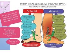 the diagram shows different types of peripheral vagusis and what they mean to them