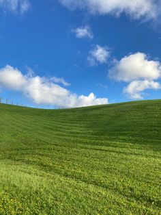 a green field with yellow flowers under a blue sky filled with white clouds and wispy clouds