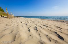 the beach is covered in sand and there are trees