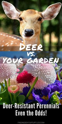 deer and flowers with the words deer vs your garden on it's left side