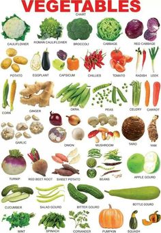 an image of vegetables that are labeled in english