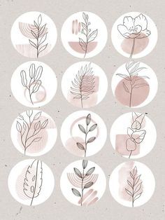 a bunch of different types of flowers on a white and pink background with circles around them