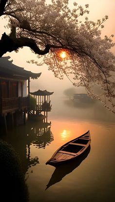 a boat floating on top of a body of water near a tree with blossoming branches