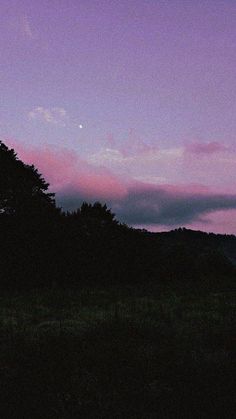 the sky is purple and there are trees in the foreground with a full moon in the distance