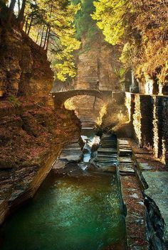 a small stream running through a forest filled with trees and stone bridge over it's water