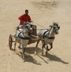 two white horses pulling a man in a cart on the beach with sand behind them