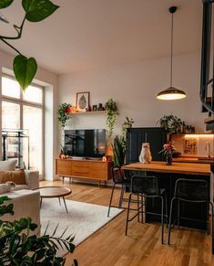 a living room filled with lots of furniture and plants on top of a hard wood floor