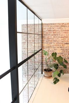 there is a potted plant on the window sill in front of the brick wall