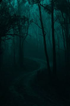 a dark forest filled with lots of trees and dirt road in the middle of it