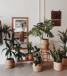 there are many potted plants on the floor in front of a mirror and shelf