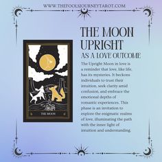 the moon upright as a love quote with an image of a dog and cat