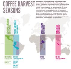 the coffee harvest season is coming up and it's time to get some info