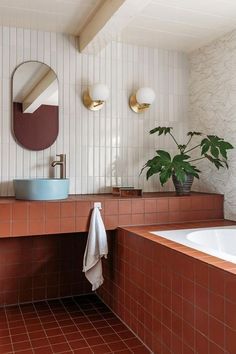 a bath room with a tub a mirror and a potted plant on the counter