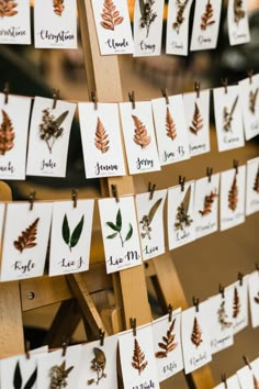 a bunch of cards that are hanging on a wooden easel with leaves and words