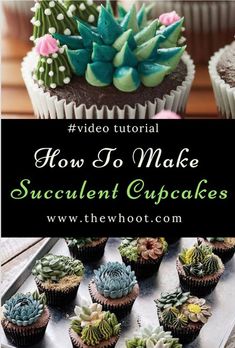 cupcakes decorated with succulent flowers and green leaves