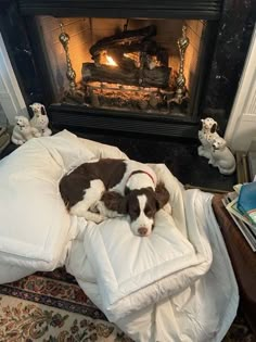 a brown and white dog laying on top of a bed next to a fire place