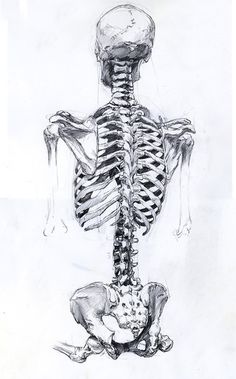 a drawing of a skeleton sitting on the ground with its back turned to the camera