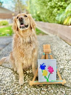 a dog is sitting next to an easel with a painting on it's side