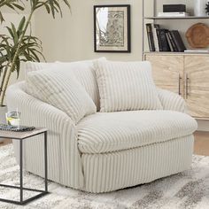 a living room filled with furniture and a potted plant