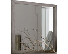 a mirror with branches in front of it and a book on the shelf behind it