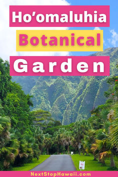 Image of the entrance road to Hoomaluhia Botanical Garden on Oahu with the Koolau Mountain range in the background. Text reads Ho'omaluhia Botanical Garden. Best Beaches In Oahu, Oahu Botanical Gardens Photoshoot, Botanical Gardens Oahu Hawaii, Honolulu Botanical Gardens, Hoomaluhia Botanical Gardens, Botanical Garden Oahu, Stunning Landscapes, Vacation Usa