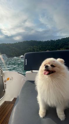 a small white dog standing on the back of a boat in the water with it's tongue hanging out