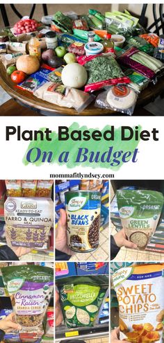 the plant based diet on a budget is great for beginners to learn how to use it