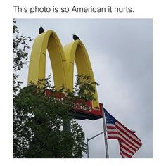 two birds perched on the top of a giant mcdonald's sign in front of an american flag