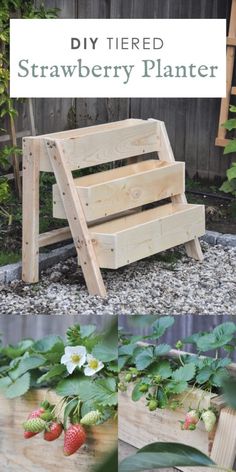 the diy tiered strawberry planter is made out of pallets and wood