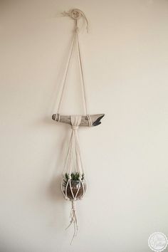 a wall hanging planter with two plants in it