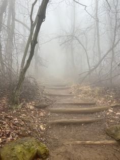 a foggy path in the woods with steps leading up