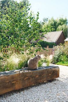 Een tuinontwerp met een moderne Scandinavische look aan de rand van  Amsterdam. De lichte kleuren in deze tuinen zorgen voor een mooie heldere  sfeer. De beplanting is een combinatie van prairie-achtige beplanting met  typisch Scandinavische beplanting zoals berken en dennen. Het tuinontwerp  wordt gedragen door de mooie vaste elementen van inlands robinia hout. Scandi Modern, Garden Paving, Outdoor Paradise, Hidden Garden, Garden Aesthetic, Aesthetic Ideas, Deck Garden, Community Gardening, Garden Features