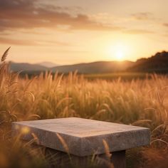 a stone bench sitting in the middle of a field