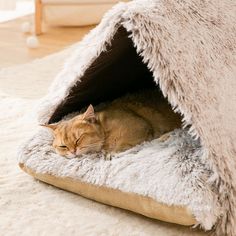 an orange cat is sleeping in its bed on the floor