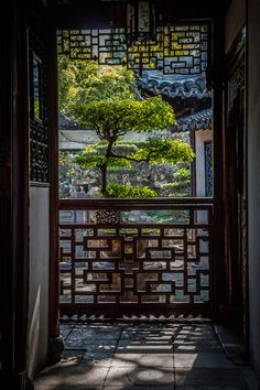 an open door leading to a small tree