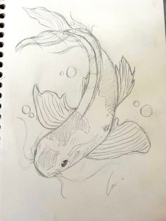 a drawing of a koi fish with bubbles in it's mouth and tail