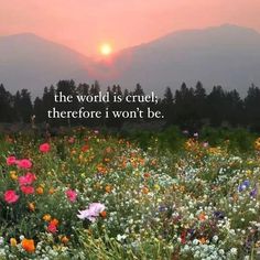 the world is cruel, there's won't be flowers in front of mountains