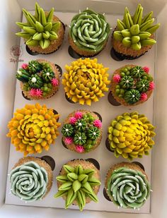 cupcakes decorated with flowers and succulents are in a white box